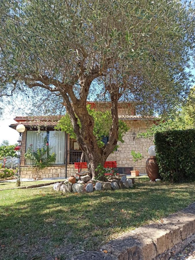 B&B Villa Mirami Сатурния Екстериор снимка
